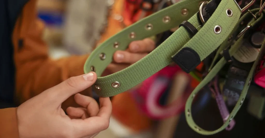 nylon vs leather vs fabric dog collar