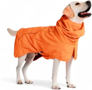 winter wear for dogs in cold climates