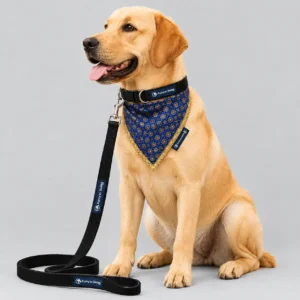 Bandana collar leash