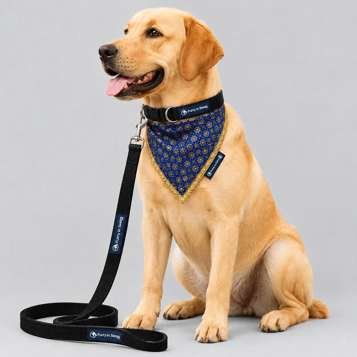 bandana -collar-leash bandana -collar-leash