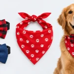 Dog Bows vs Bandanas: Which Accessory Suits Your Dog Best