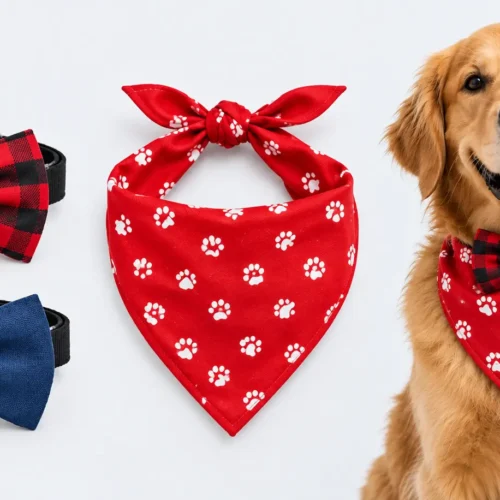 Dog Bows vs Bandanas: Which Accessory Suits Your Dog Best