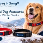 9 Best Dog Accessories for Winter Walks