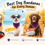 9 Best Dog Bandanas for Every Season