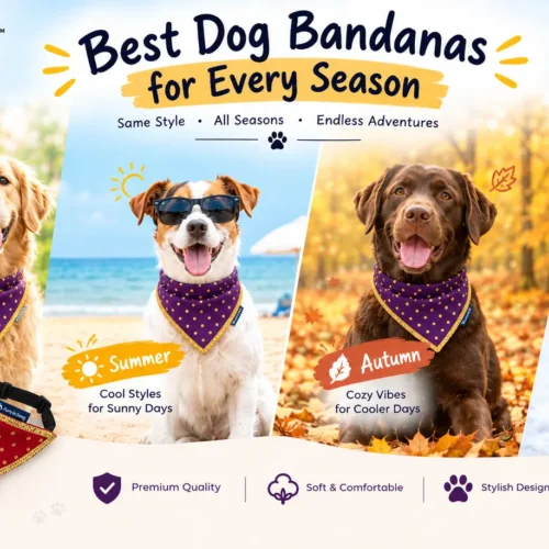 9 Best Dog Bandanas for Every Season
