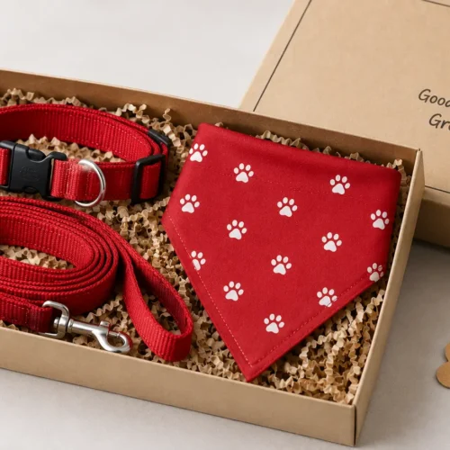 7 Best Dog Gift Ideas for Dog Lovers