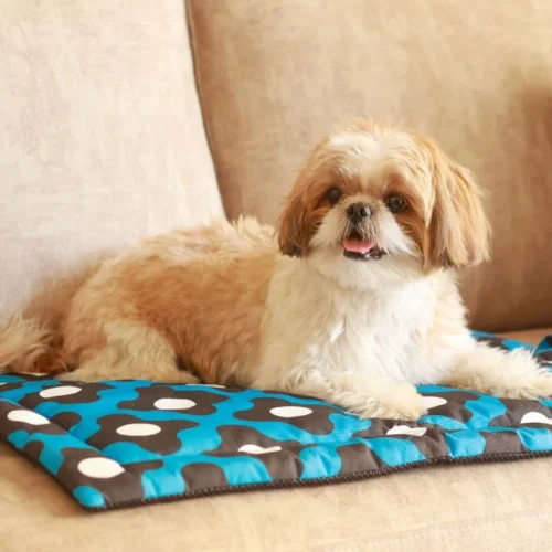10 Best Premium Dog Mats Worth Buying in 2026