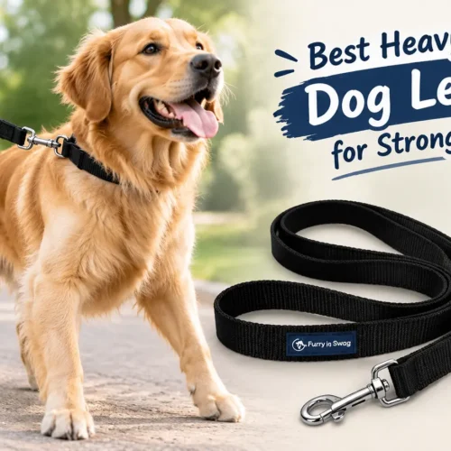 7 Best Heavy-Duty Dog Leashes for Strong Pullers