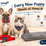 9 Things Every New Puppy Needs at Home