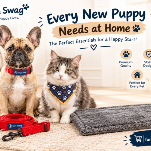 9 Things Every New Puppy Needs at Home